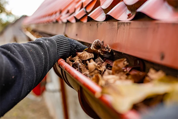 Gutter Cleaning Services