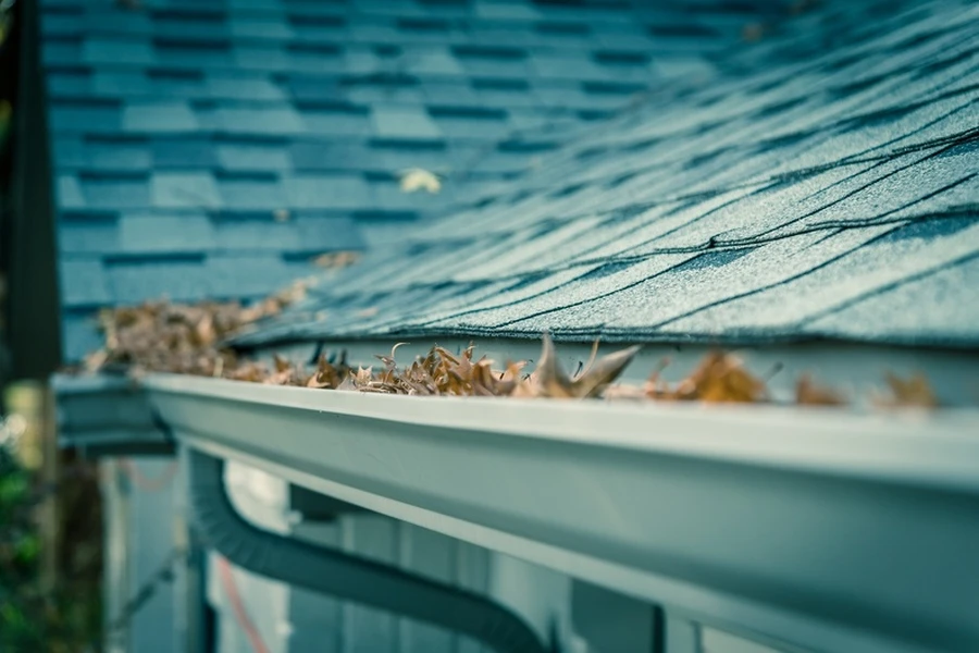 Seasonal Gutter Maintenance Tips For Homeowners in Lake Charles, LA Seasonal Gutter Maintenance Tips For Homeowners in Lake Charles, LA